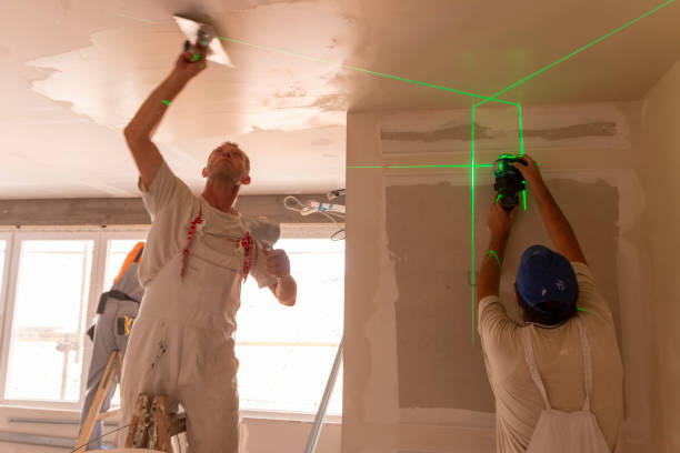 Best Ceiling Drywall Installation  in Boiling Spring Lakes, NC